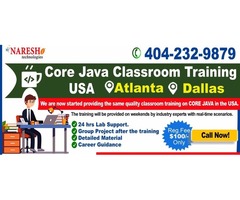 Java Classroom Training in Atlanta, USA - NareshIT | free-classifieds-usa.com - 1