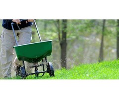Lawn Mowing Company | free-classifieds-usa.com - 1
