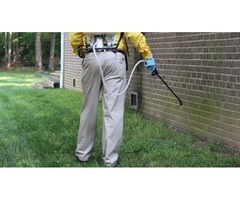 Tick Spray for Yard - Enjoy Your Yard Again  | free-classifieds-usa.com - 1