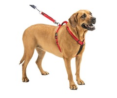 Buy Pet Products & Supplies - Ultimate Control Dog Harness | free-classifieds-usa.com - 1