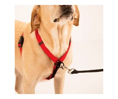 Buy Pet Products & Supplies - Ultimate Control Dog Harness | free-classifieds-usa.com - 3
