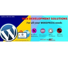 Affordable Wordpress Website development in Fresno | free-classifieds-usa.com - 1