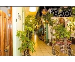 Best Private Accommodations in Cuba | Holiday Homes to Rent in Cuba | free-classifieds-usa.com - 1